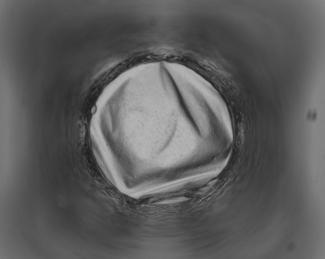 X0000096991302200803071044