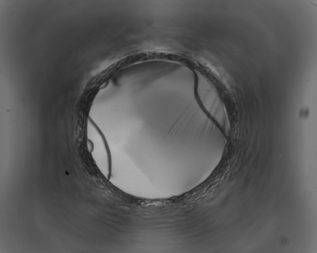 X0000096991303200803071044