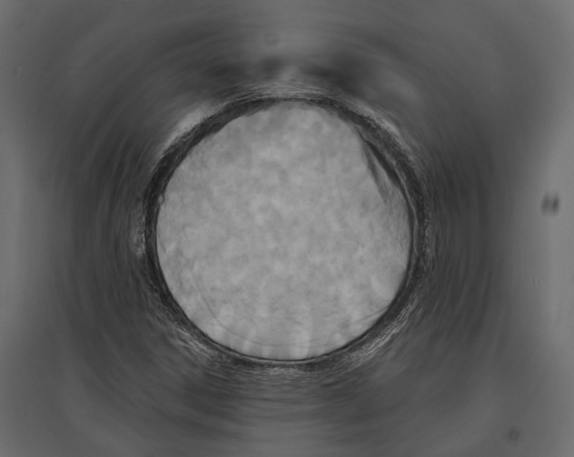 X0000096991306200803071044