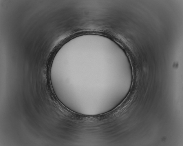 X0000096991307200803071044