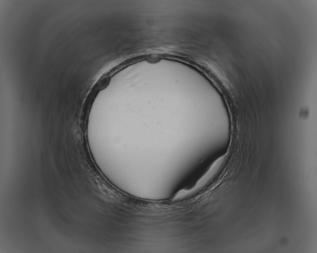 X0000096991308200803071044