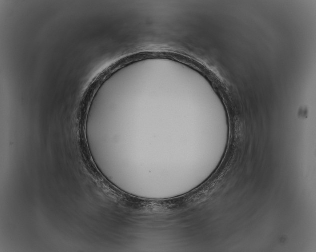 X0000096991311200803071044