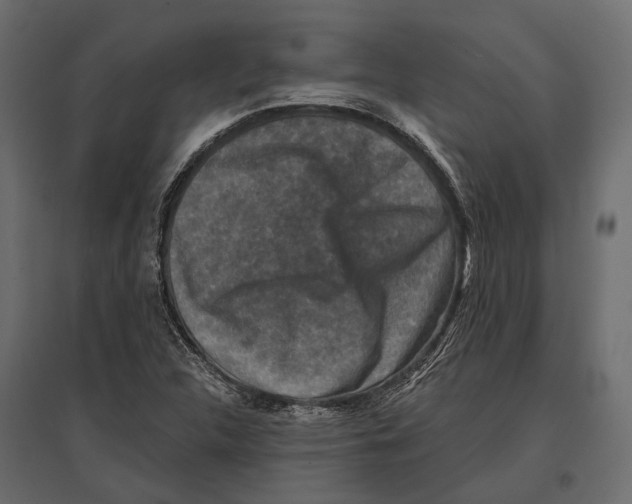 X0000096991312200803071044