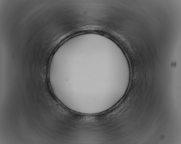 X0000096991313200803071044