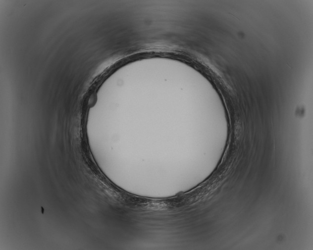 X0000096991315200803071044