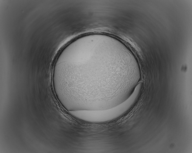 X0000096991316200803071044