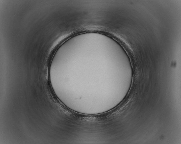 X0000096991317200803071044