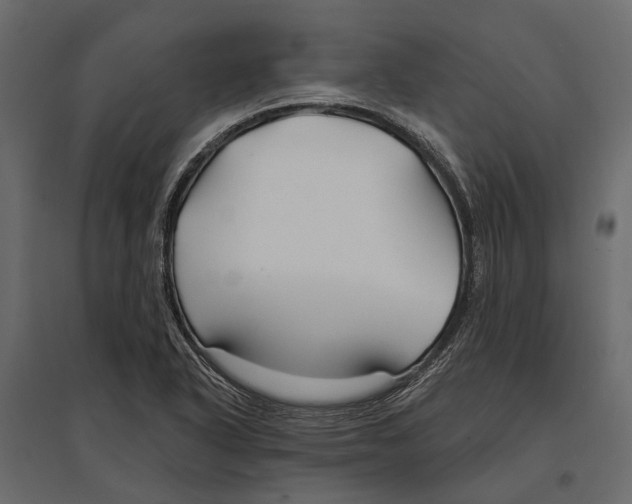 X0000096991318200803071044