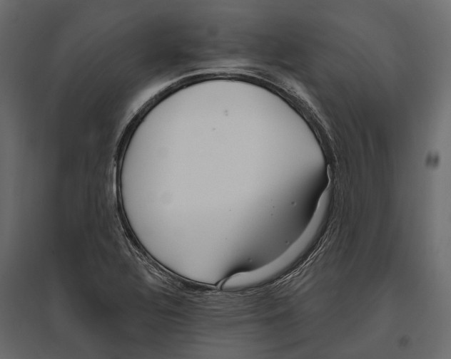 X0000096991320200803071044