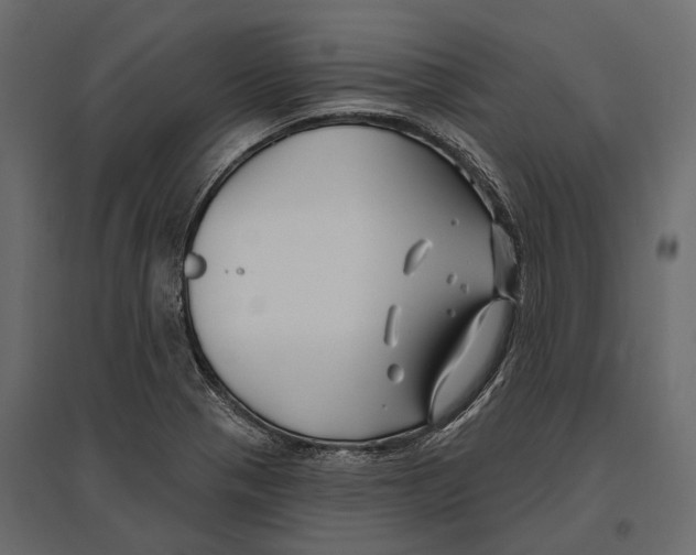 X0000096991321200803071044