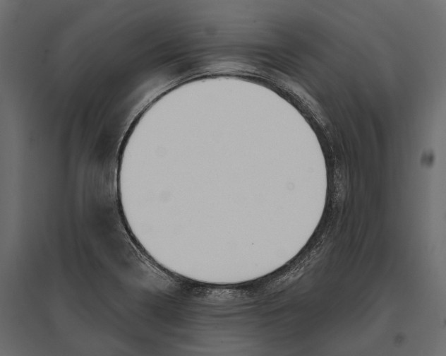 X0000096991322200803071044