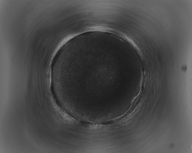 X0000096991323200803071044