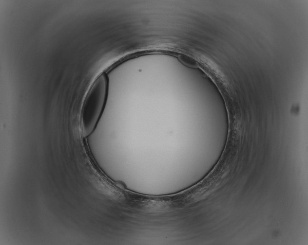 X0000096991324200803071044