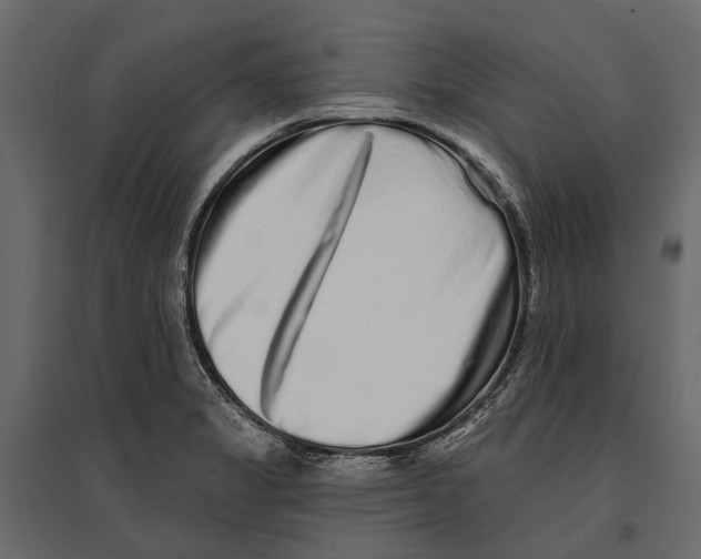 X0000096991325200803071044