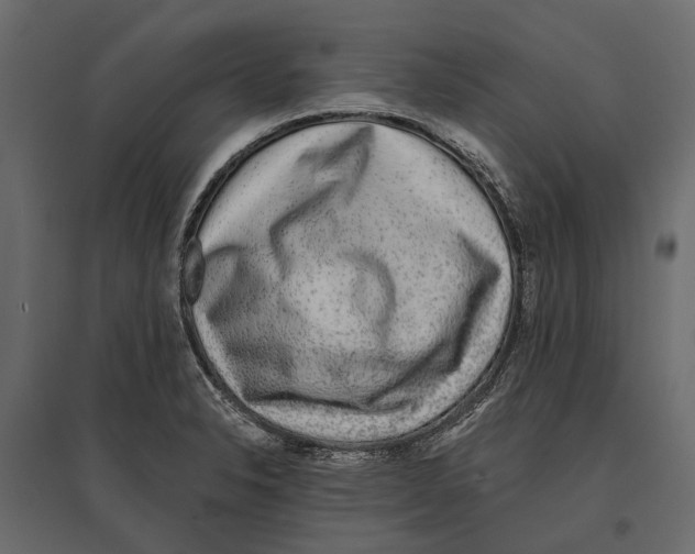 X0000096991326200803071044