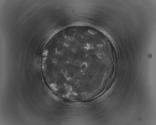 X0000096991329200803071044