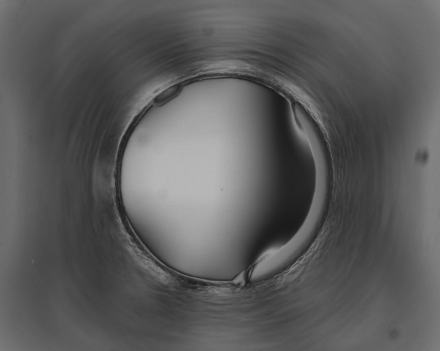 X0000096991330200803071044