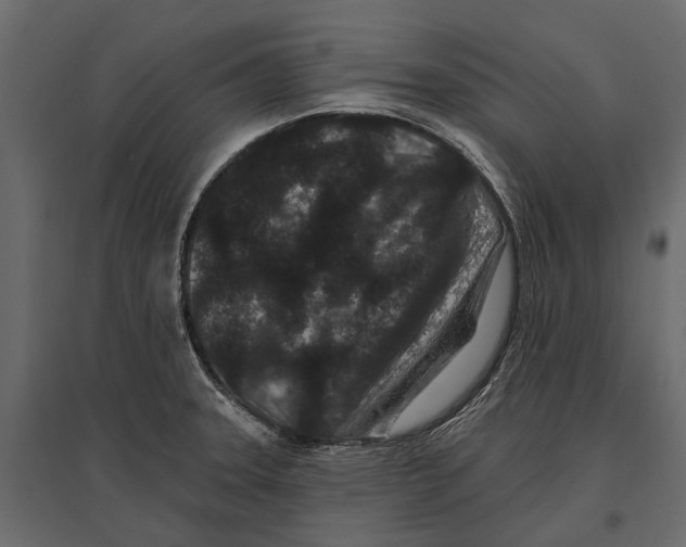 X0000096991331200803071044