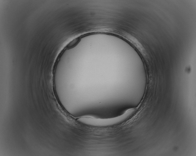 X0000096991332200803071044