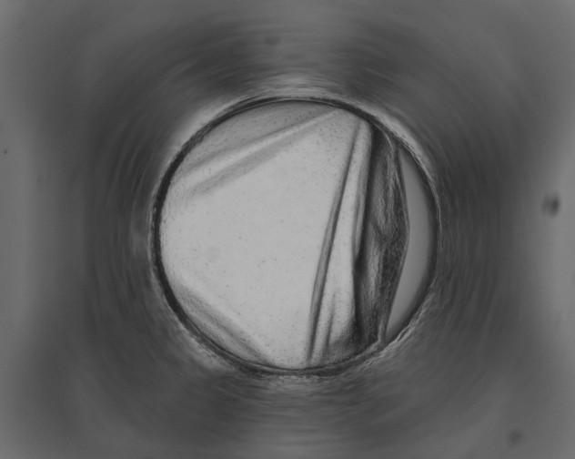 X0000096991333200803071044