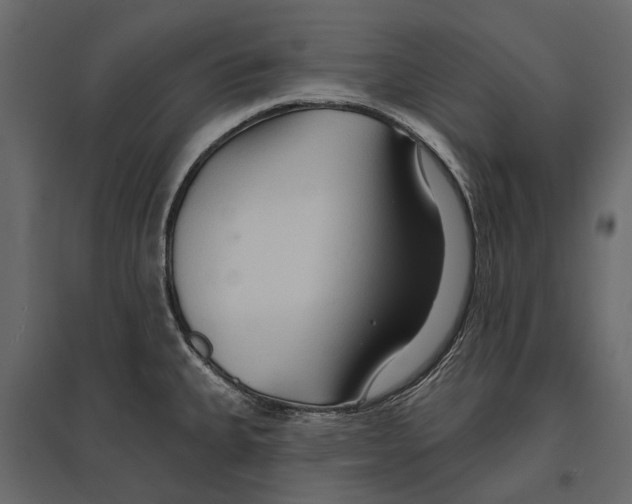 X0000096991335200803071044