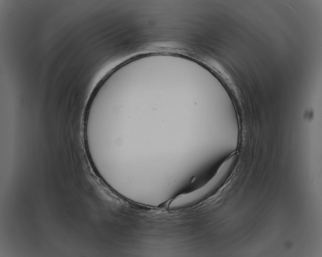 X0000096991336200803071044