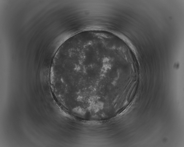 X0000096991337200803071044