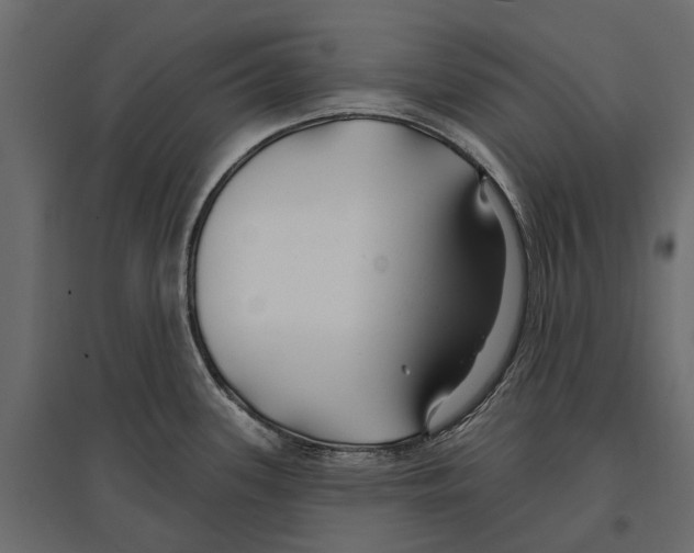 X0000096991339200803071044