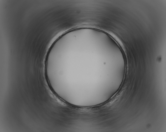 X0000096991341200803071044