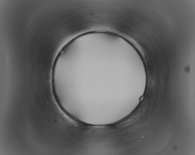 X0000096991343200803071044