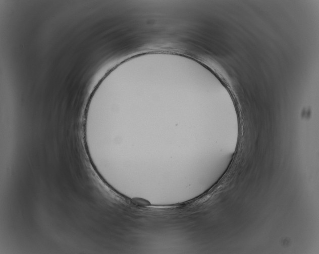 X0000096991344200803071044