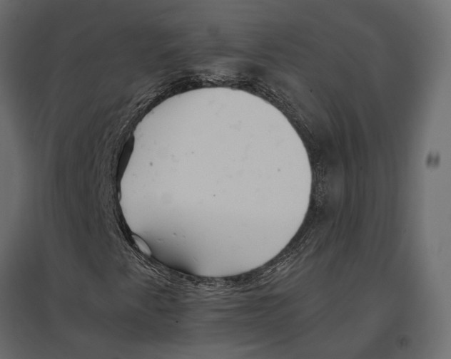 X0000096991345200803071044