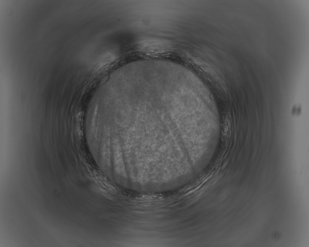 X0000096991346200803071044