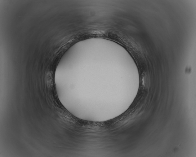 X0000096991347200803071044