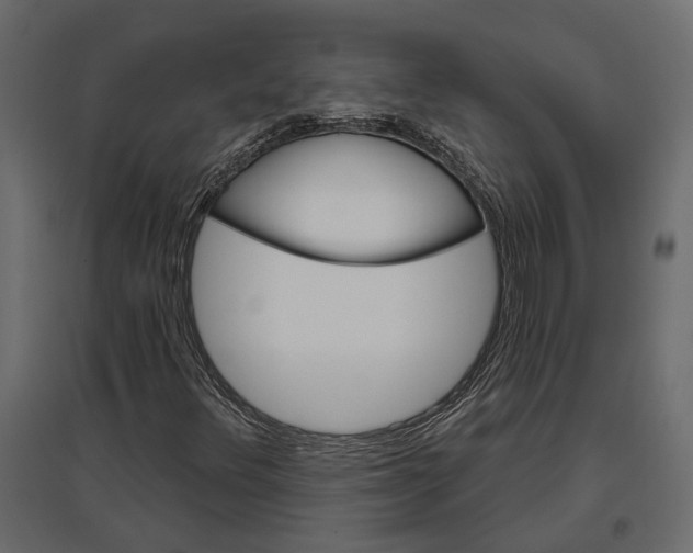 X0000096991348200803071044