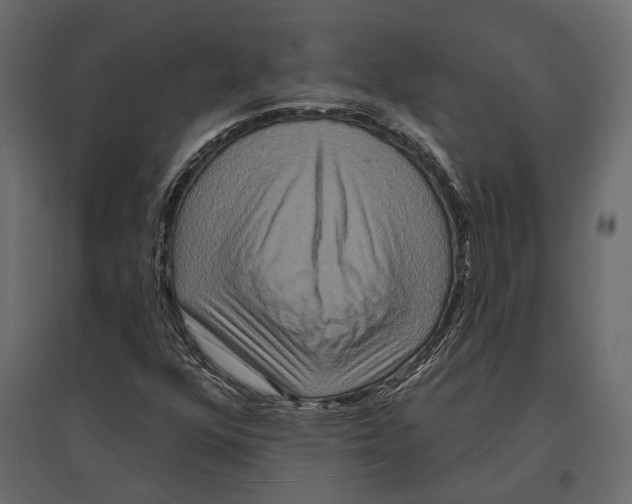 X0000096991352200803071044