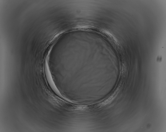 X0000096991353200803071044