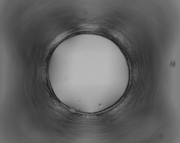 X0000096991354200803071044