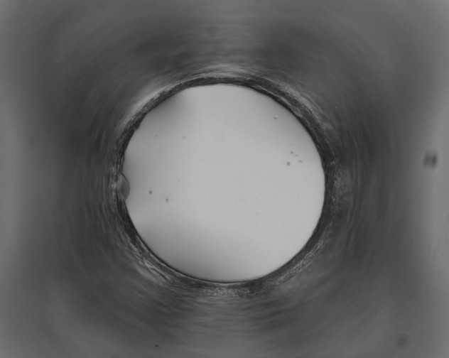 X0000096991355200803071044