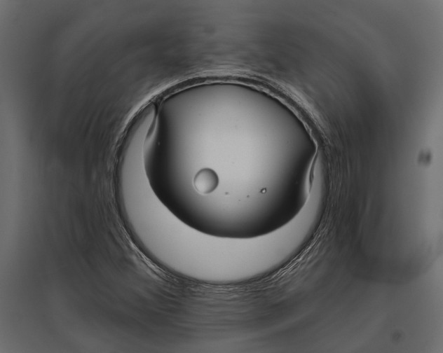 X0000096991356200803071044