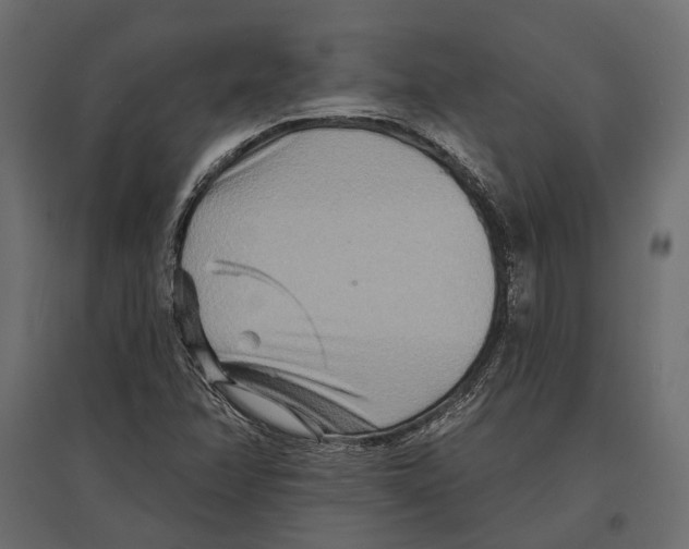 X0000096991358200803071044