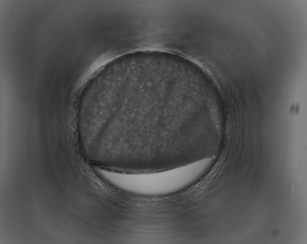 X0000096991359200803071043