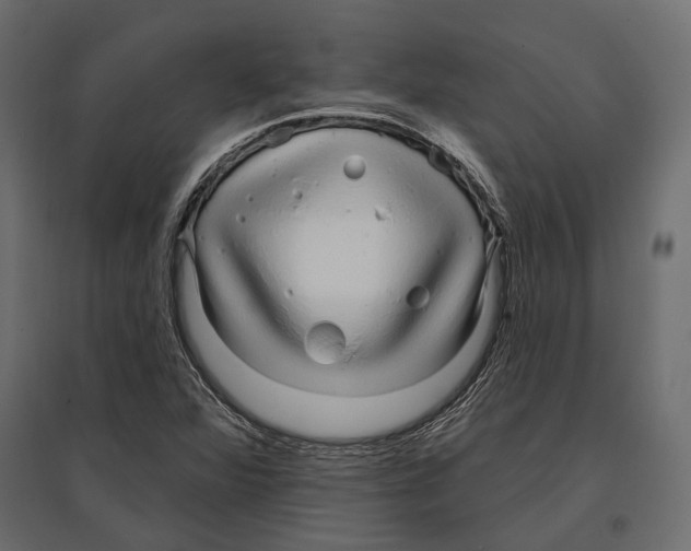 X0000096991360200803071043