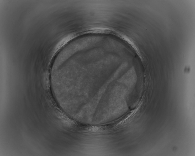 X0000096991362200803071043