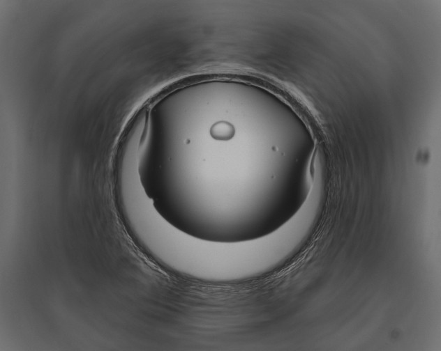 X0000096991364200803071043