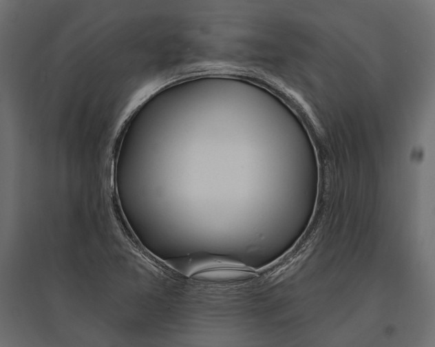 X0000096991365200803071043