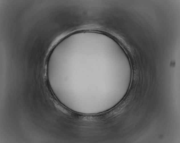 X0000096991366200803071043