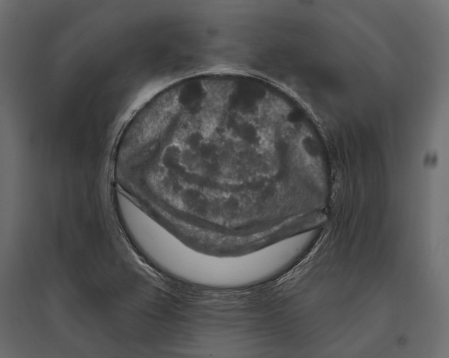 X0000096991367200803071043