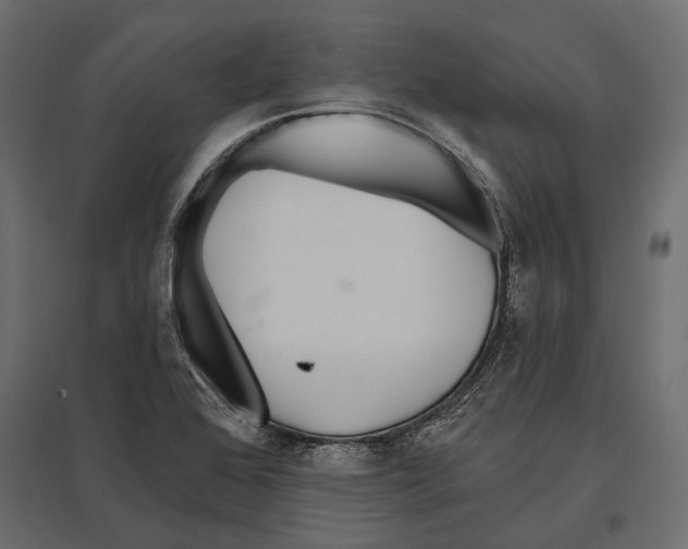 X0000096991368200803071043