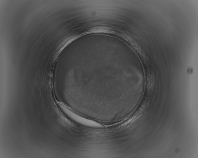 X0000096991369200803071043